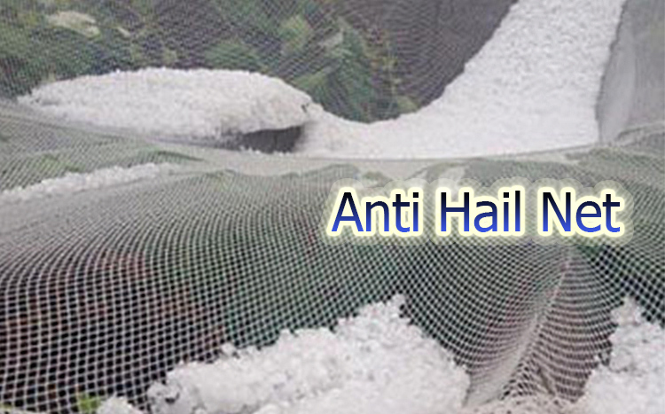 Funksjonen til Anti Hail Net