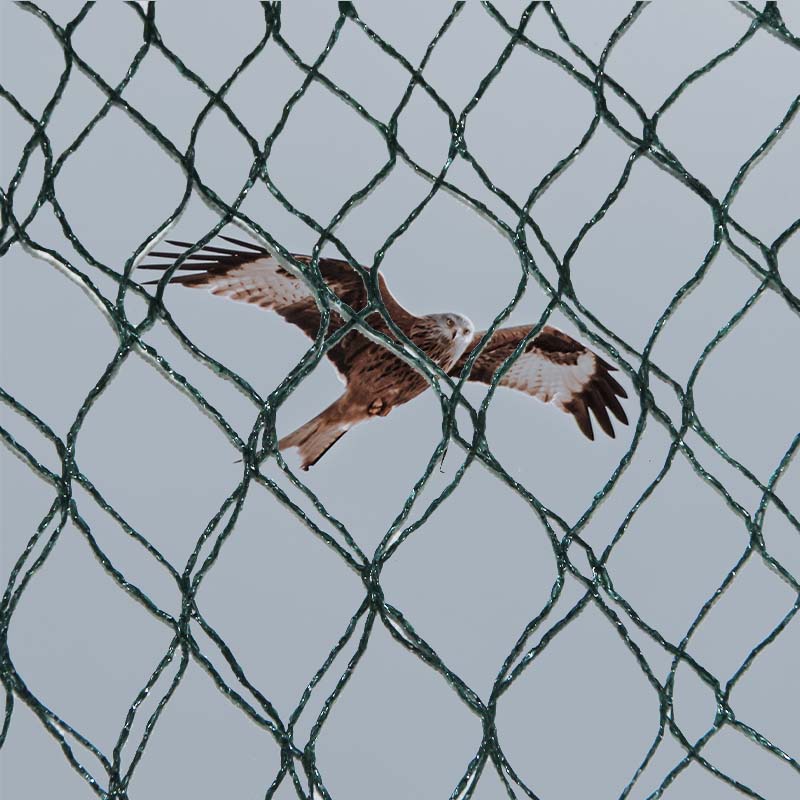 Hva er materialvalgene og fordeler og ulemper med fuglevernnett?