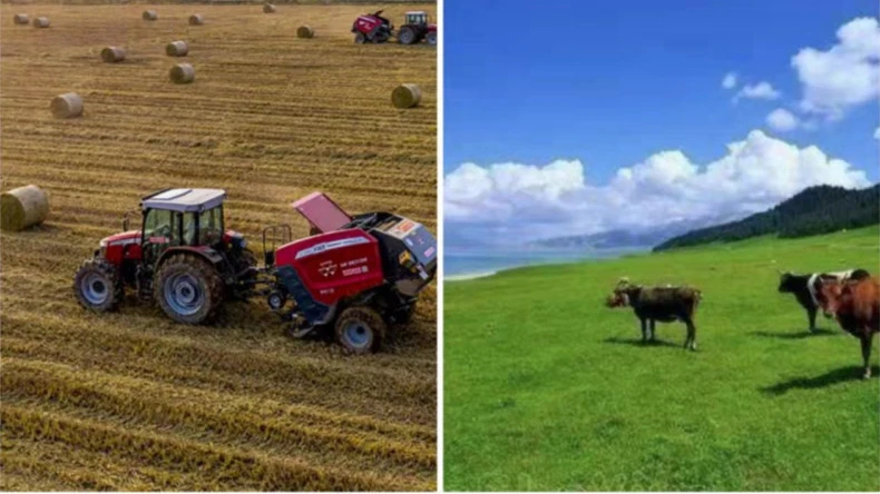 Bruken av ballenettinnpakning i landbruksaktiviteter