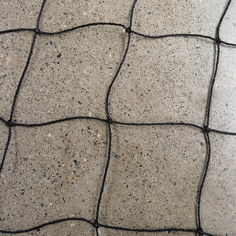 Rollen til cricketnett