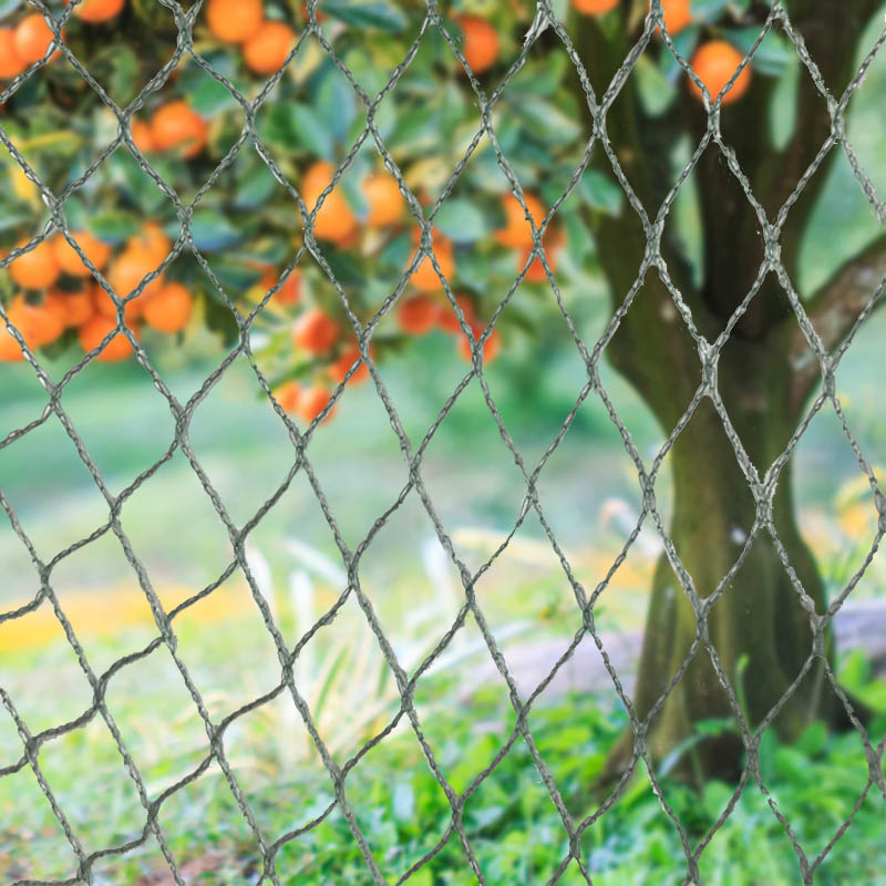 Beskytt avlingene, eiendommen og investeringene dine med vårt kraftige fuglenett!