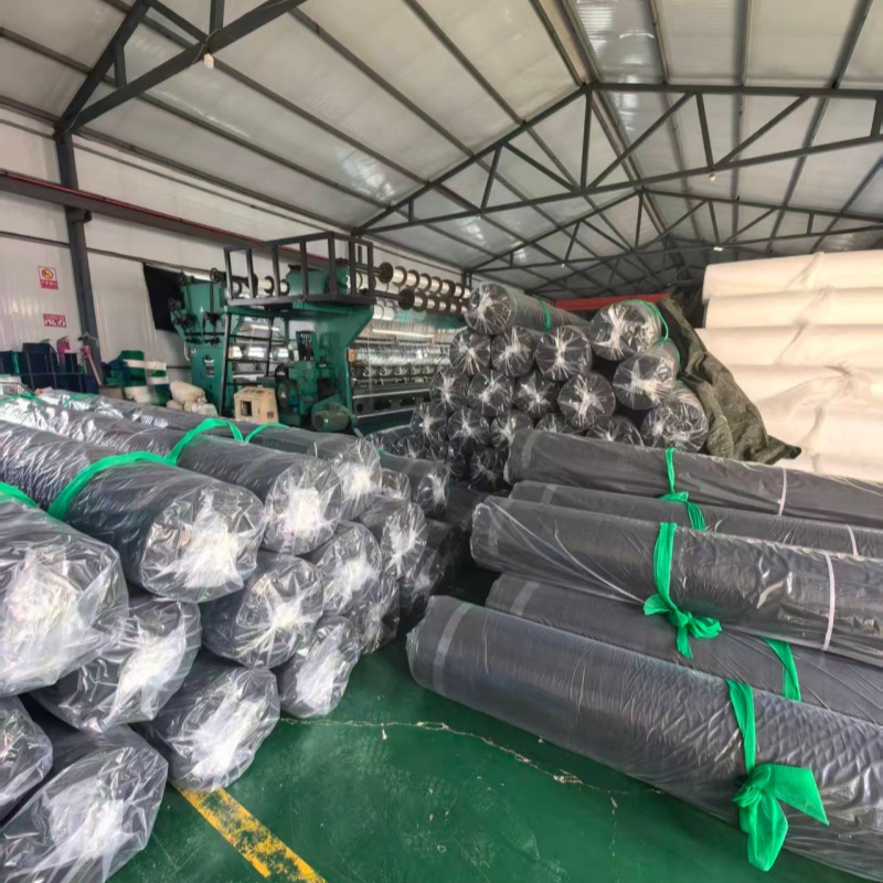 Dobbel plast: Scene med travel frakt viser sterk styrke