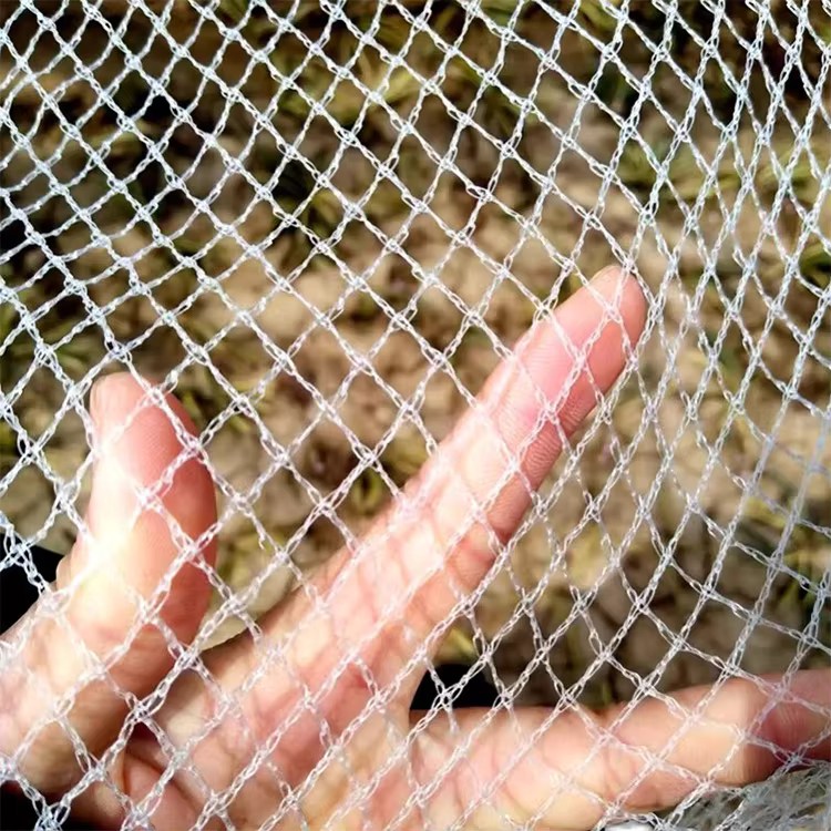 Anti-hagel polyetylen fuglebeskyttelsesnett med plastnetting tilpasset til landbruk Anti-hagel polyetylen fuglebeskyttelsesnett med plastnetting tilpasset til landbruk