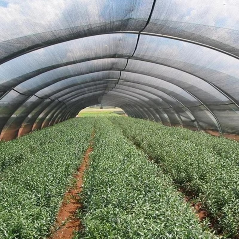 Hageskyggeduk for planter 40 % solskinn blokkert